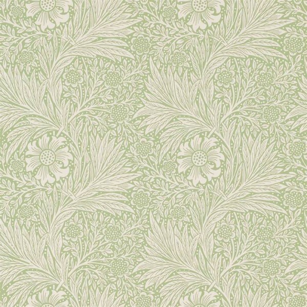 Marigold DCMW216837 Marigold DCMW216837