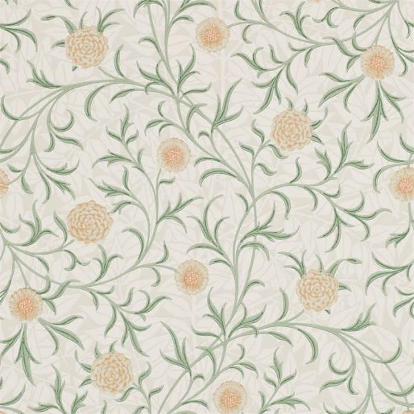 Scroll DCMW216831 Scroll DCMW216831