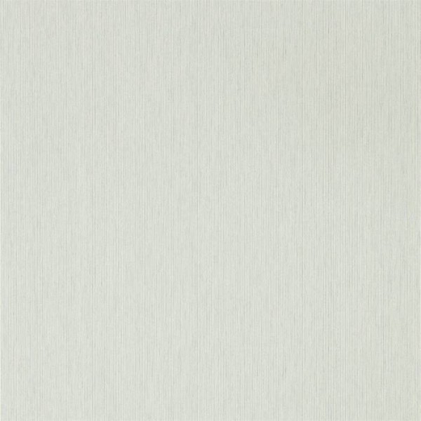 Caspian Strie DLMW216914 Caspian Strie DLMW216914