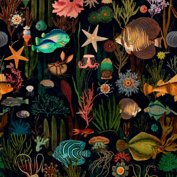 Oceania WP20304 Oceania WP20304