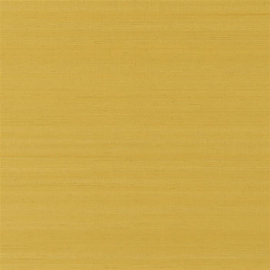 Chinon Amber PDG1119-08