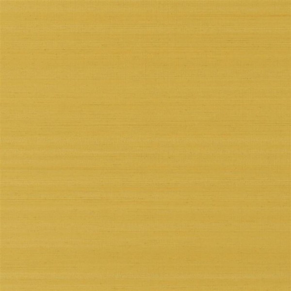 Chinon Amber PDG1119-08 Chinon Amber PDG1119-08