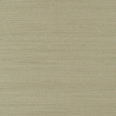 Chinon Birch PDG1119-12