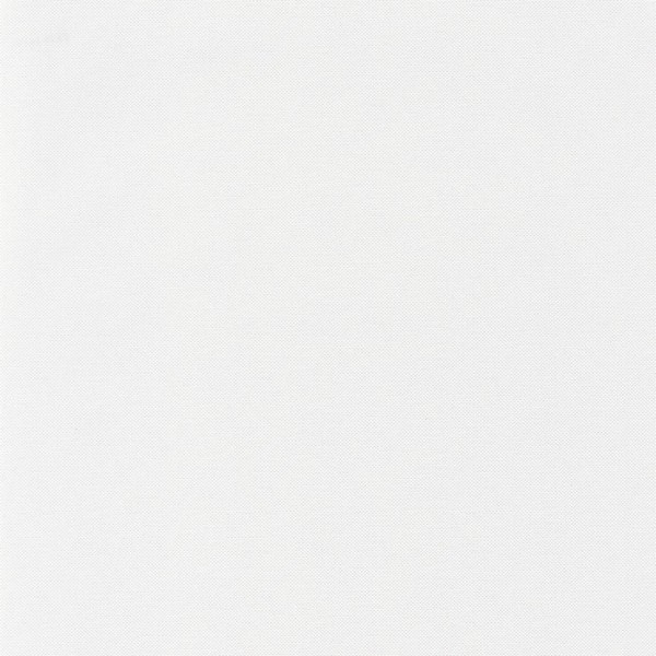101569233 101569233