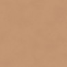 Camel de couleur BLONE101411