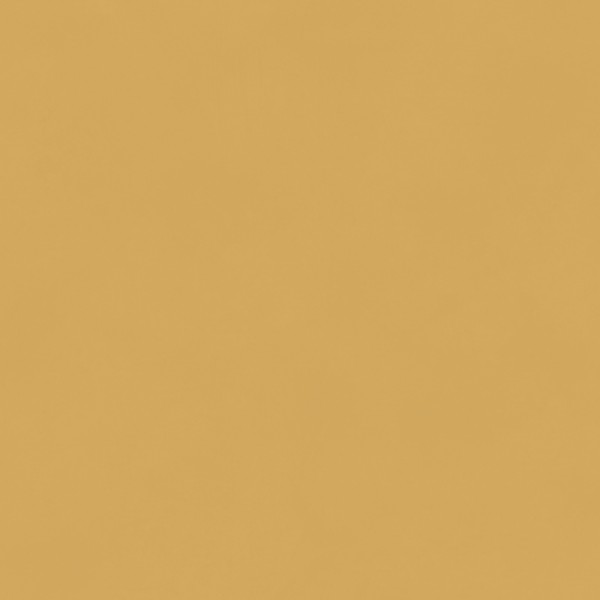 Color Gold BLONE101111 Color Gold BLONE101111