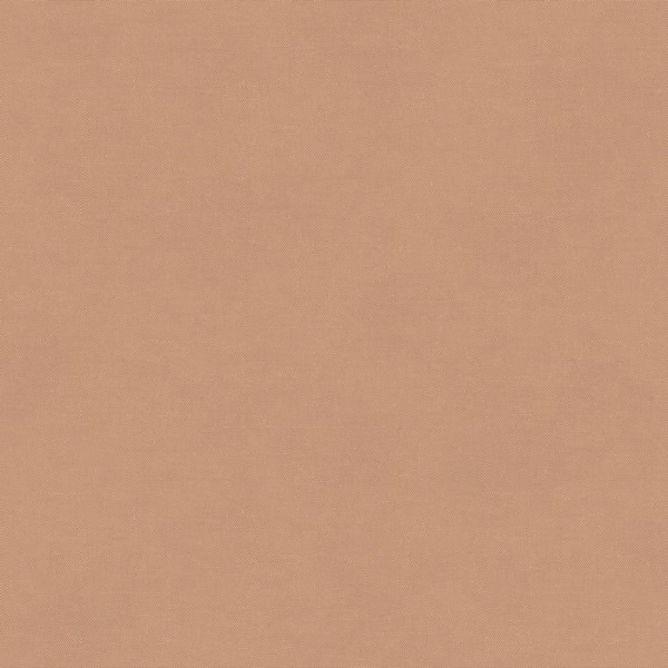 Rythm Camel RYT0051 Rythm Camel RYT0051