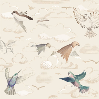 Flying Freedom – Sunset