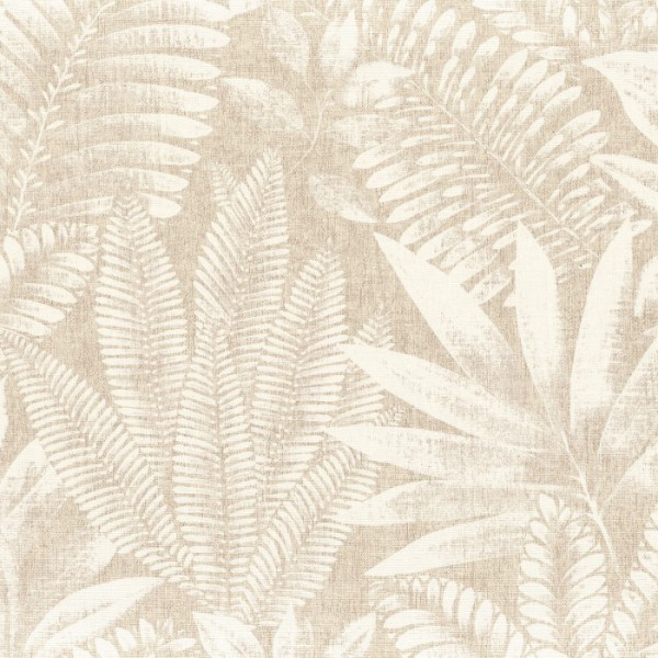 Aloes 75183580 Aloes 75183580