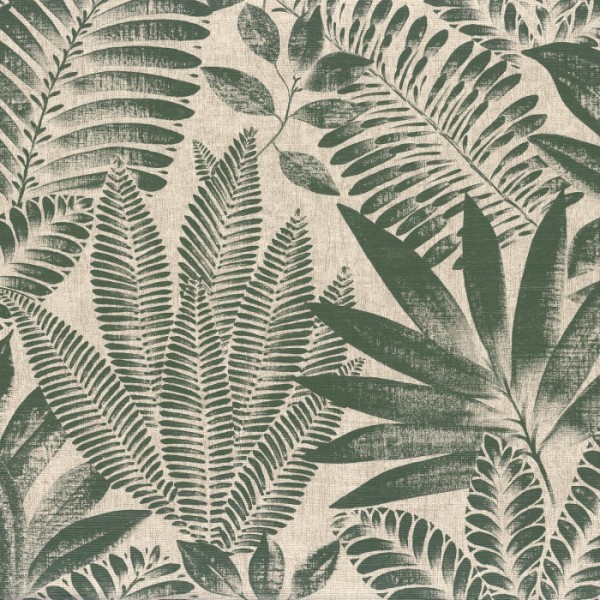 Aloes 75183784 Aloes 75183784