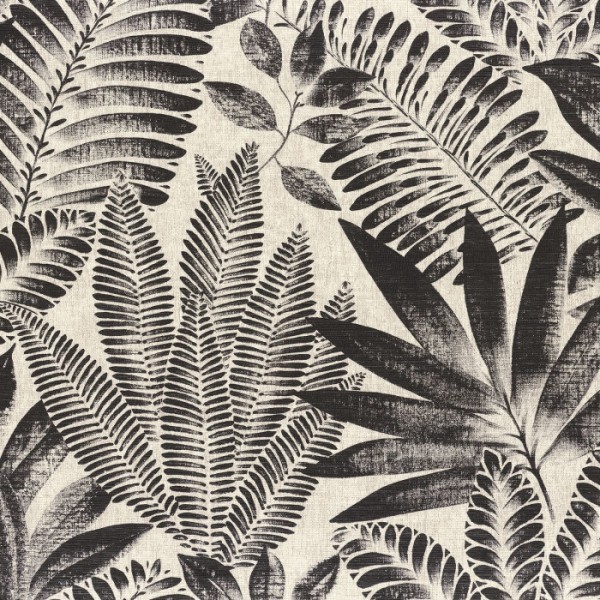 Aloes 75183886 Aloes 75183886