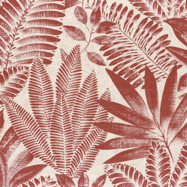 Aloes Aloes 75183682 Aloes Aloes 75183682