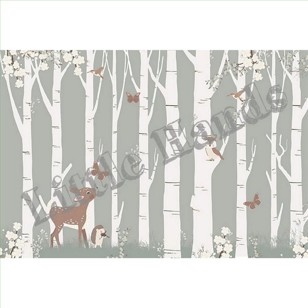 White Forest White Forest