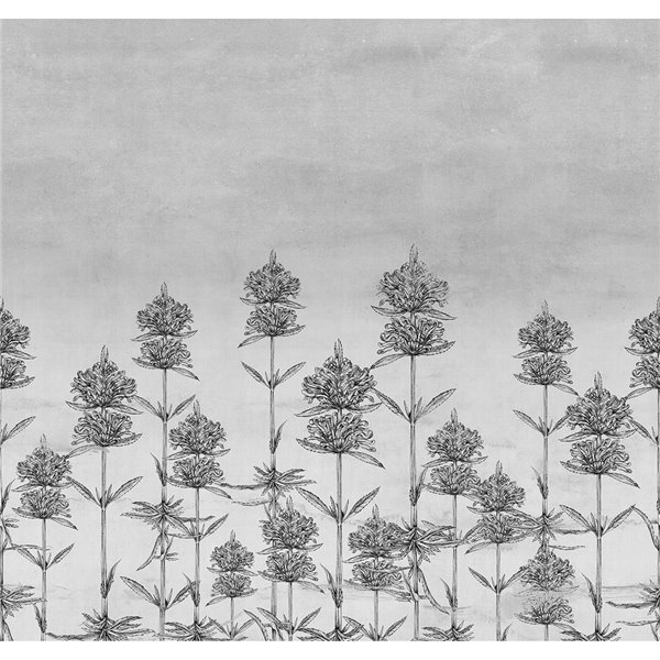 NATURAL EUPHORIA 20021-02 NATURAL EUPHORIA 20021-02