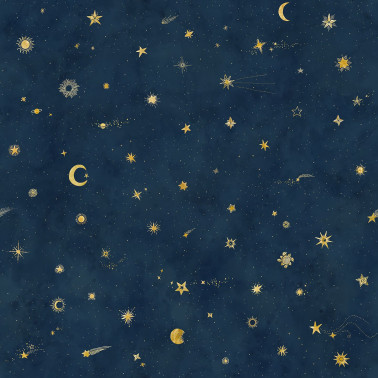 Mural 659-96 Starry Sky Petrol