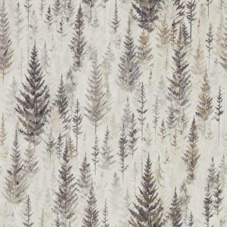 Juniper Pine DYSI216621 Juniper Pine DYSI216621