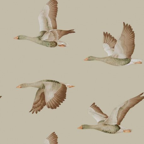 Elysian Geese DYSI216609 Elysian Geese DYSI216609