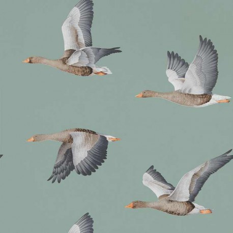 Elysian Geese DYSI216610 Elysian Geese DYSI216610