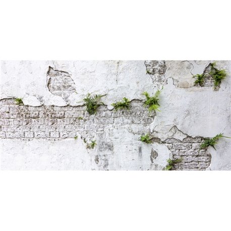 Plants & Brick Wall DOM406 Plants & Brick Wall DOM406