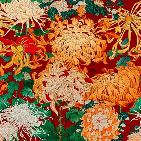 Chrysanthemums WP20320 Chrysanthemums WP20320
