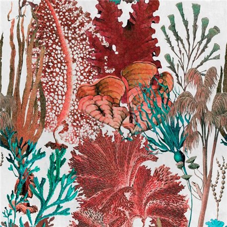 Coral Reef WP20299 Coral Reef WP20299