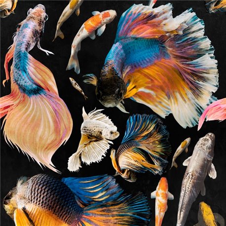 Goldfish Anthracite WP20301 Goldfish Anthracite WP20301
