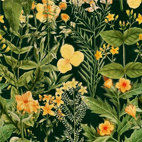 Mimulus Anthracite WP20322 Mimulus Anthracite WP20322