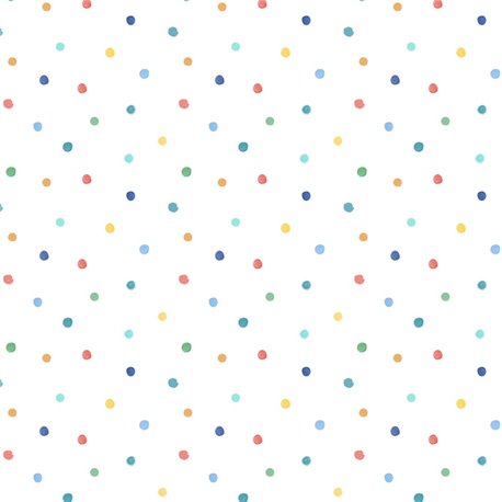 Dotty Primary Dotty Primary
