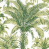 Charleston Palms CN30704
