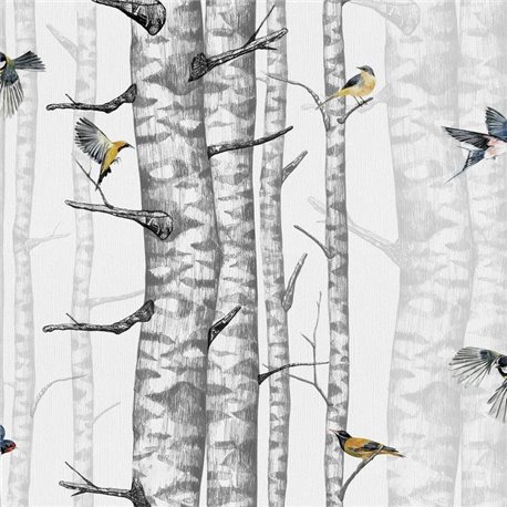 Birch Trees Grey 9500040 Birch Trees Grey 9500040