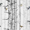 Arbres de bouleau gris 9500040