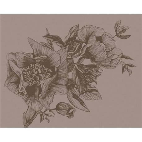 Giant Peonies Cacao 9500703 Giant Peonies Cacao 9500703