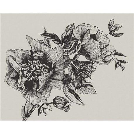 Giant Peonies Ink 9500700 Giant Peonies Ink 9500700