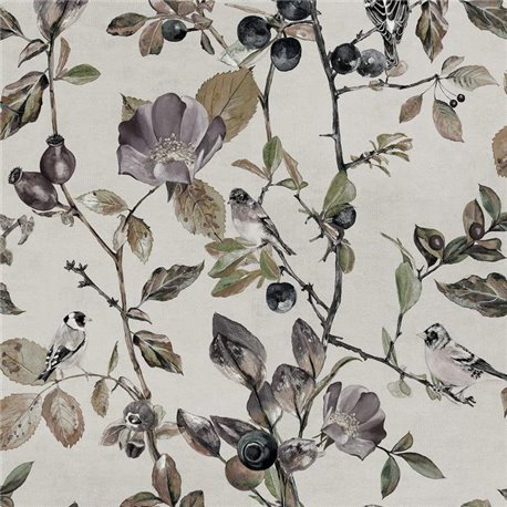 Goldfinch Song Pear 9500031 Goldfinch Song Pear 9500031