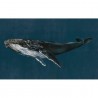 Baleine à bosse 9500100 - Mural