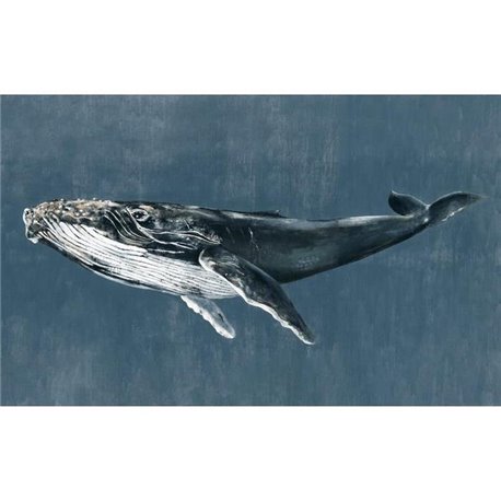 Humpback Whale Vintage 9500101 Humpback Whale Vintage 9500101