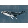 Baleine de bosse Vintage 9500101 - Mural