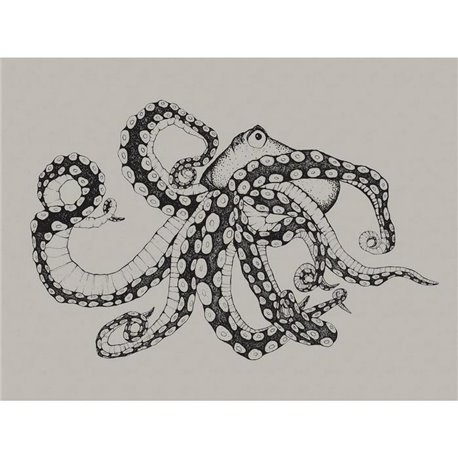 Octopus X Ray Ink 9500800 Octopus X Ray Ink 9500800