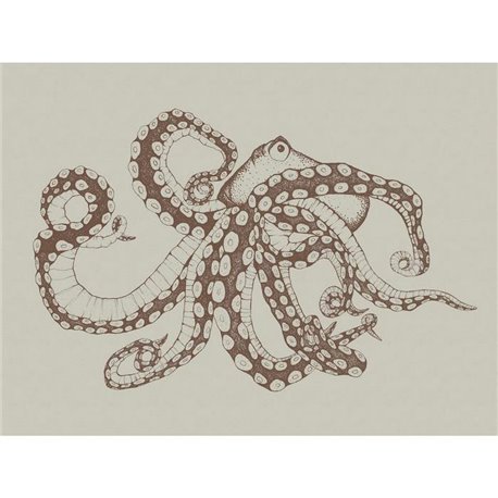 Octopus X Ray Papirus 9500801 Octopus X Ray Papirus 9500801