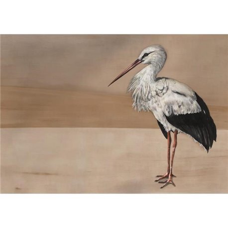 Stork Mother Nude 9500301 Stork Mother Nude 9500301