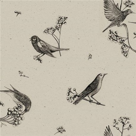 Sweet Birds Black 9500072 Sweet Birds Black 9500072