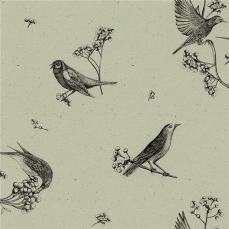 Sweet Birds Matcha 9500073 Sweet Birds Matcha 9500073