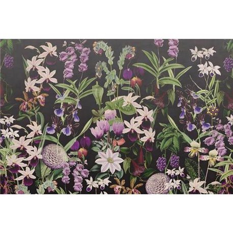 Alice's Garden Midnight R17163 Alice's Garden Midnight R17163