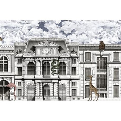 Animal Avenue Colorful R17172 Animal Avenue Colorful R17172