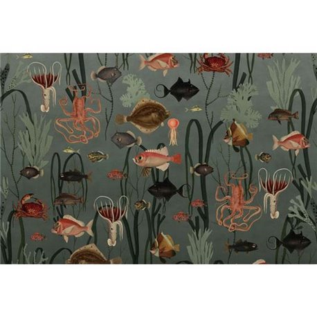 Aquatic Life Oxygen R17141 Aquatic Life Oxygen R17141