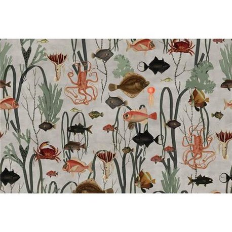Aquatic Life R17144 Aquatic Life R17144