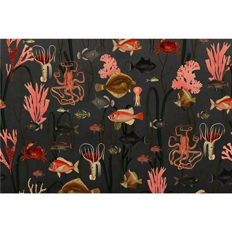 Aquatic Life Shadows R17143 Aquatic Life Shadows R17143