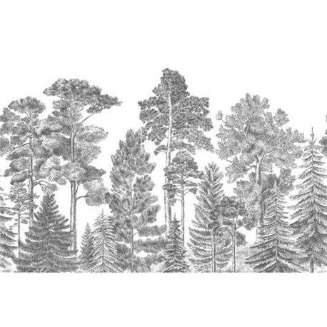 Scandinavian Bellewood Gray R17201 Scandinavian Bellewood Gray R17201