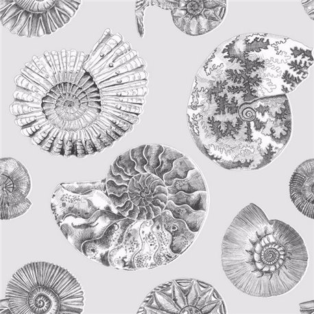 Fossilium Frost Fossilium Frost