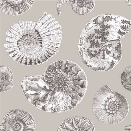 Fossilium Sepia Fossilium Sepia